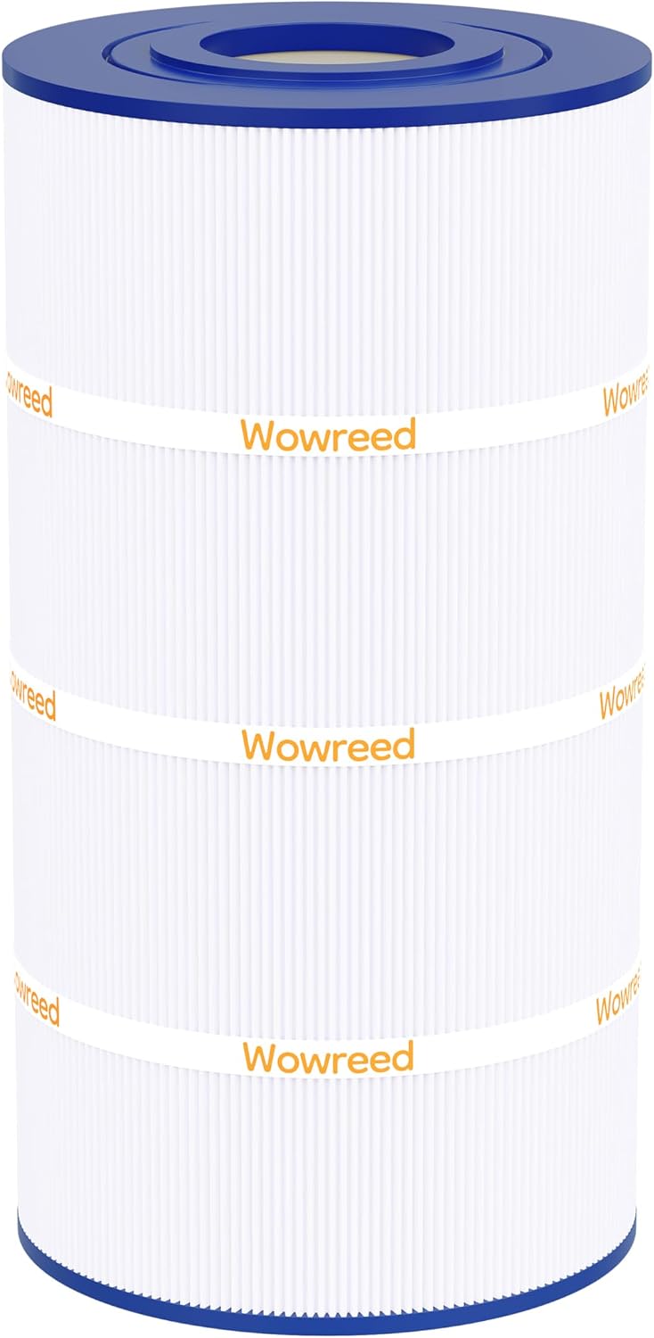 Filtro piscina comp SwimClear C100S CX100XRE