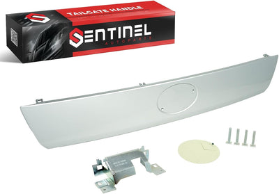Manija puerta trasera Scion TC 05-10 placa metal
