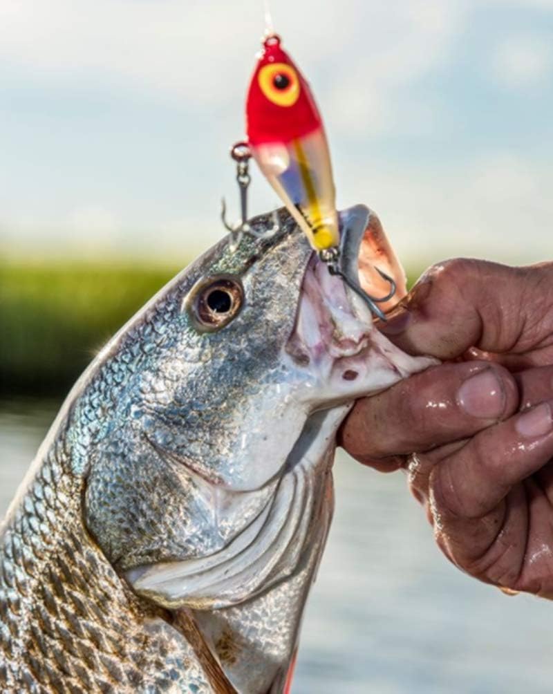 Señuelo pesca agua salada Badonk-A-Donk