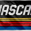 Bandera NASCAR con ojales para exteriores