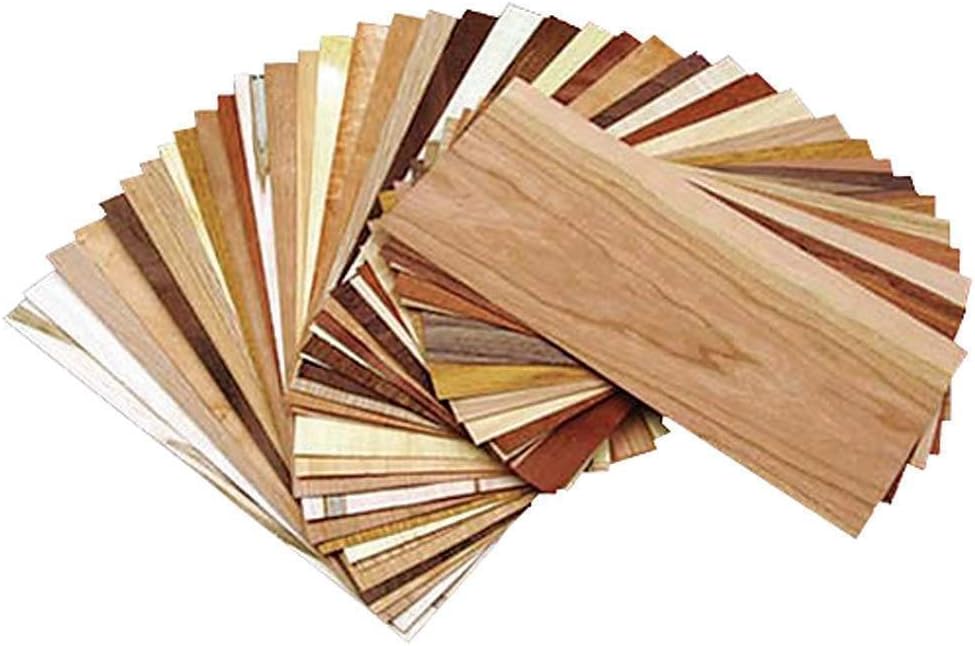 Kit de Identificación de Madera con Guía de Referencia