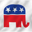 Bandera Trump