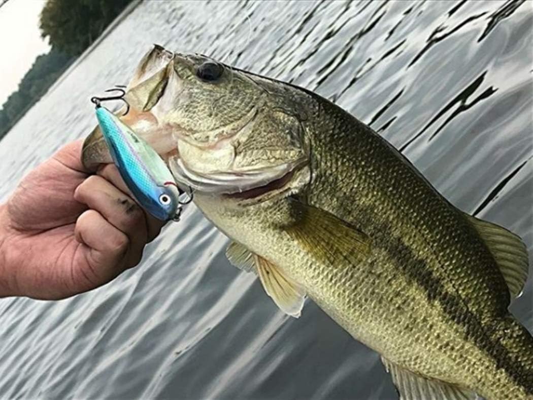 Señuelo pesca Crankbait Fleeing Shad 3.25" 7/16oz