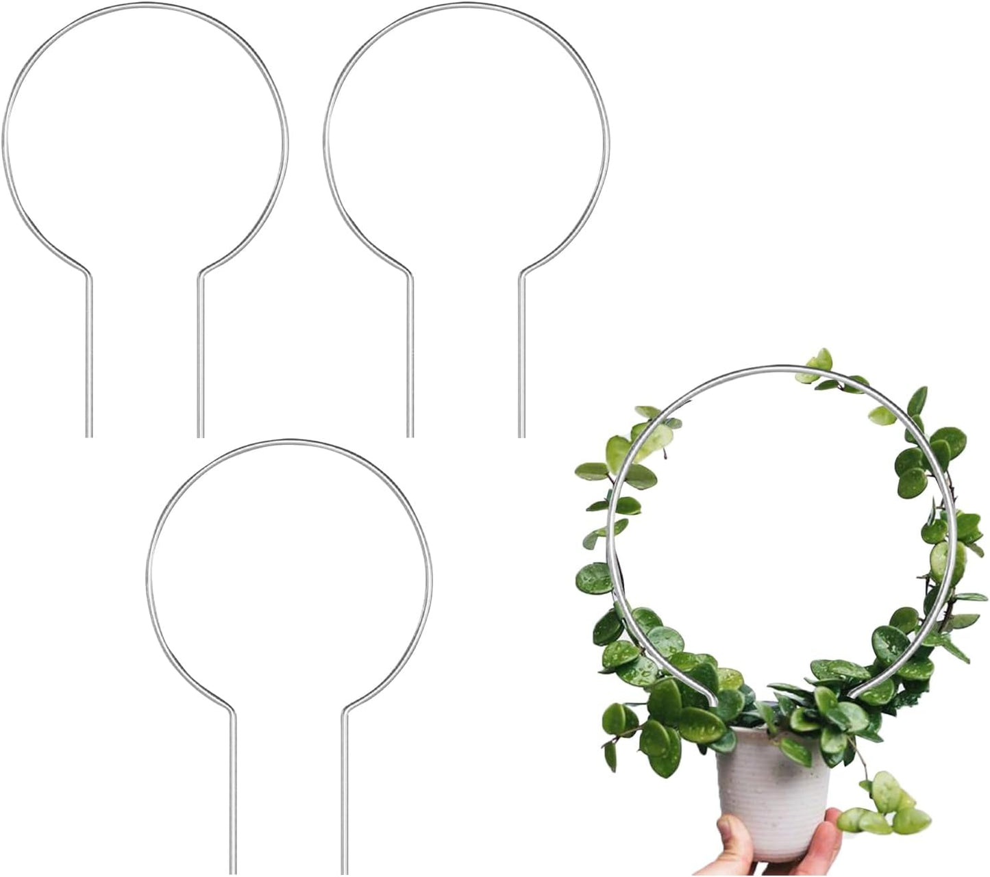 3en1 Enrejados Acrílicos Redondos para Plantas Monstera Hoya