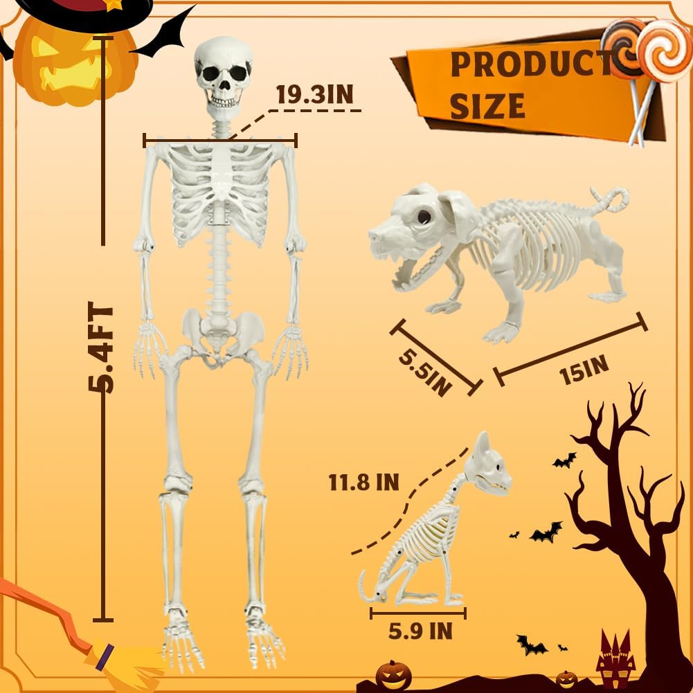 Esqueleto Halloween 5.4" con perro y gato decoración fiesta