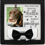 Marco conmemorativo mascotas 9x9pulg soporte collar tarjeta