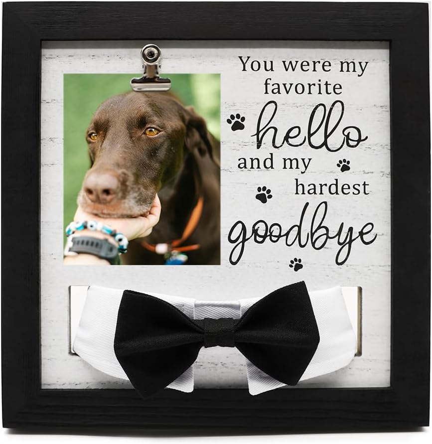 Marco conmemorativo mascotas 9x9pulg soporte collar tarjeta