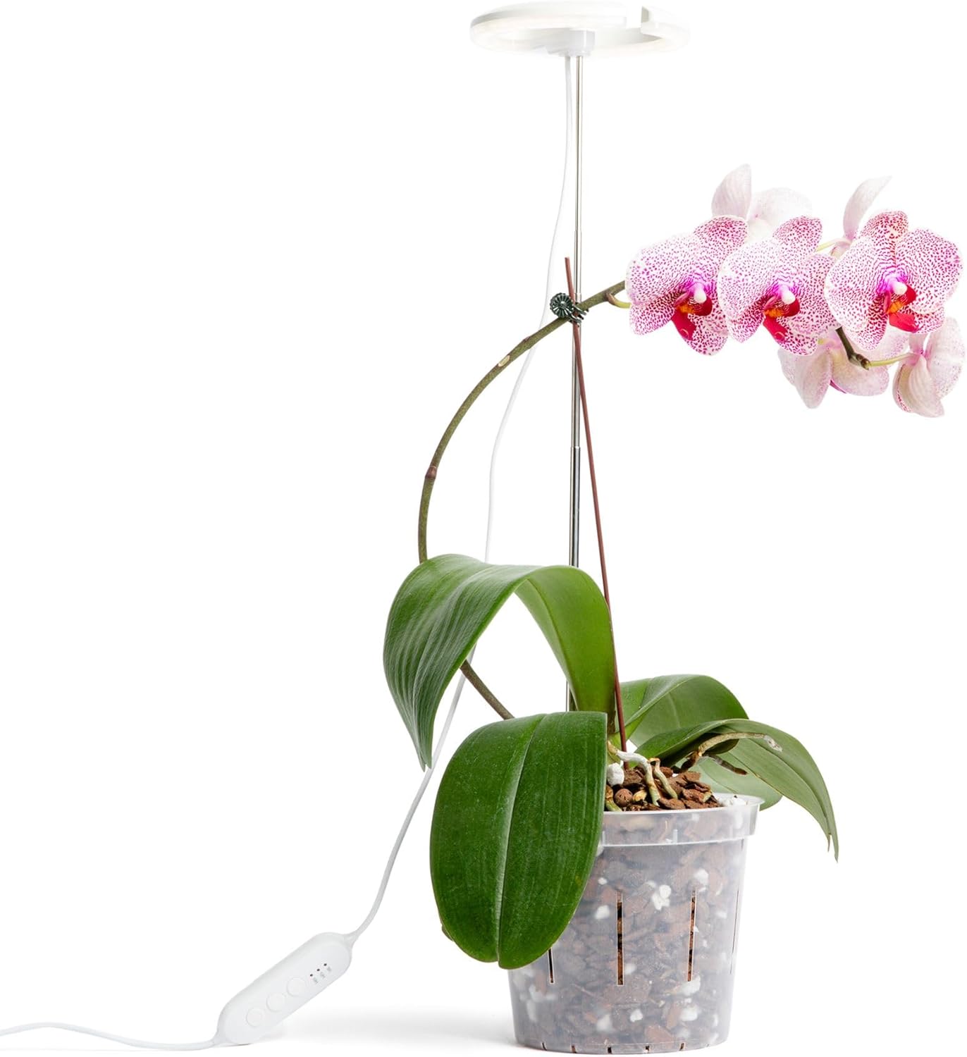 Luz cultivo orquídeas espectro completo ajustable