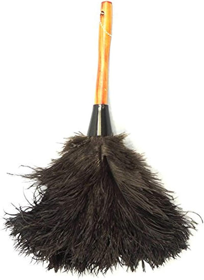 Plumeros de Avestruz Mini 14pulg