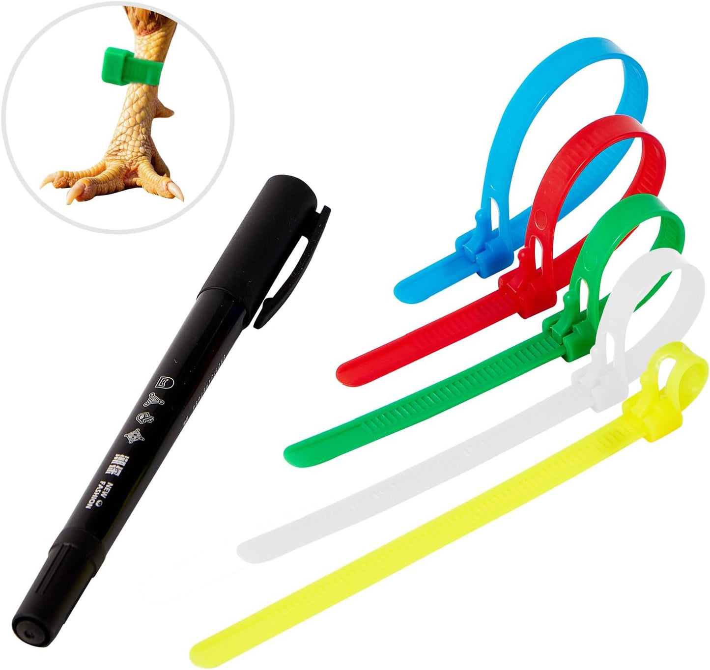 100 Bandas Ajustables para Patas Pollo 0.4-1.5"