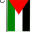 Bandera Palestina 12x18" Doble Cara Decoración