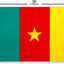 Bandera Camerún 3x5ft poliéster resistente