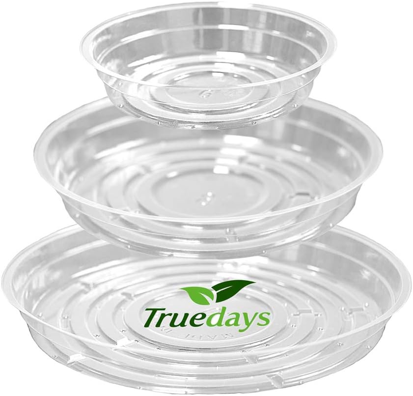 15 Platillos Transparentes 6-10" para Macetas