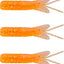 Insecto larvas PAN-Candy