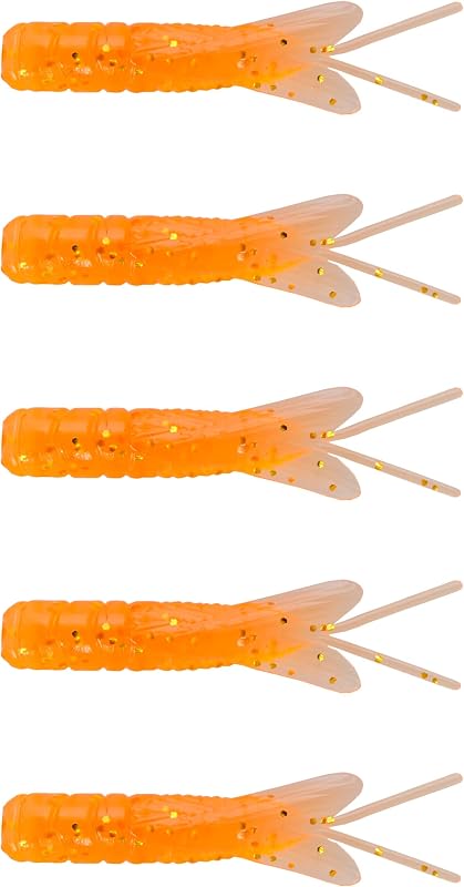 Insecto larvas PAN-Candy
