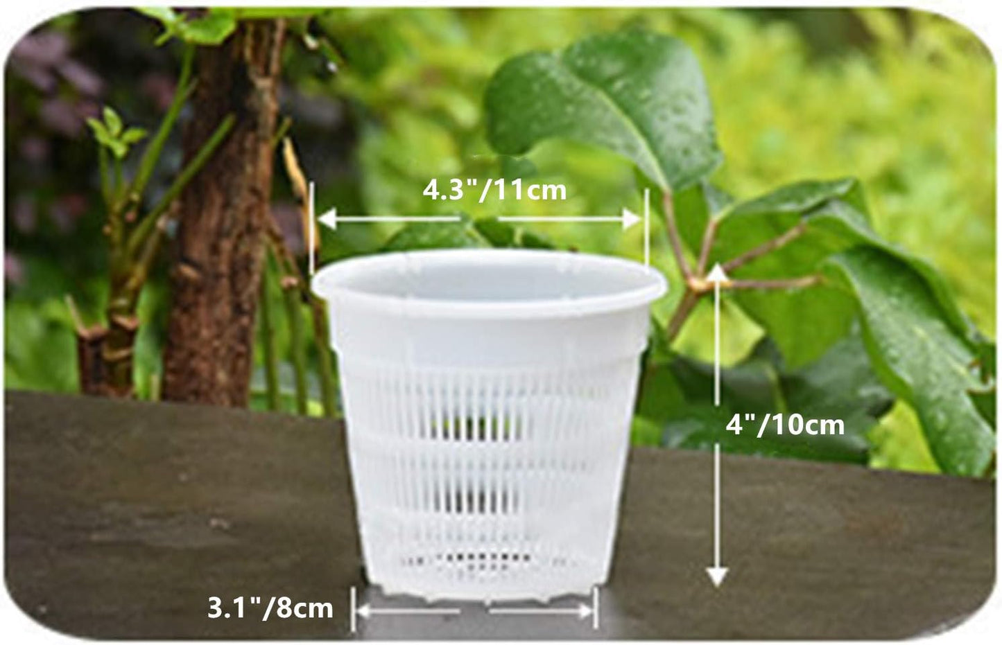 10 Macetas Orquídea Malla Plástico 4pulg Transpirable