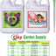 Set Fertilizantes Hidropónicos Big Bud 8.5oz