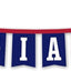 Banderines cadena New York Giants