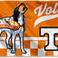 Bandera Tennessee Volunteers 3x5