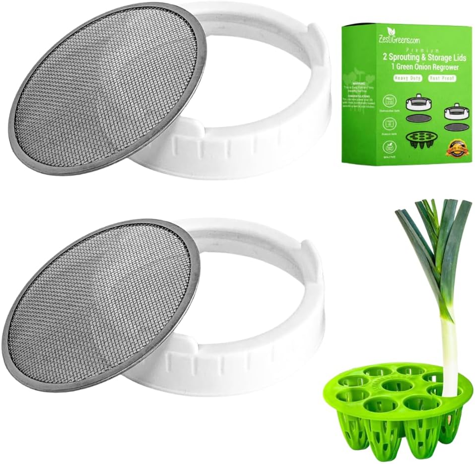 Kit cultivo brotes frascos Mason regenerador cebolla verde