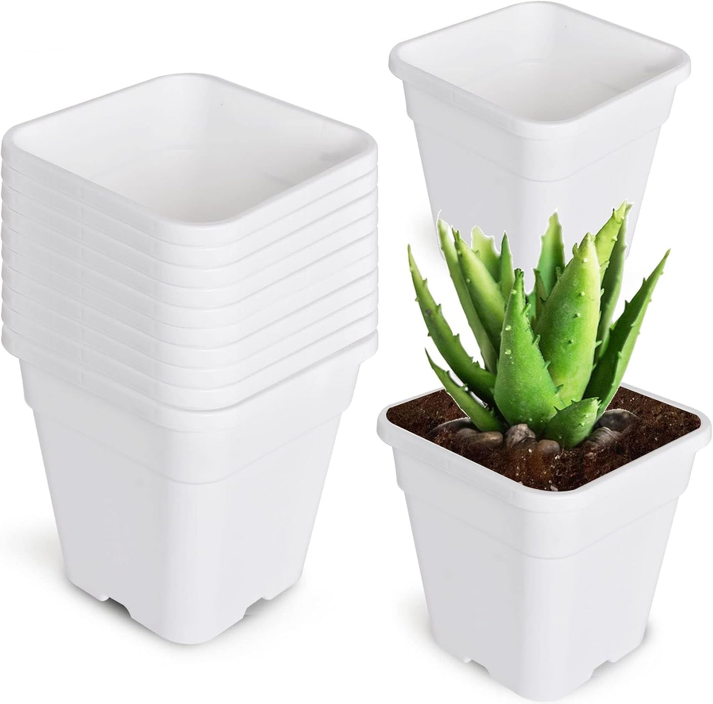 Macetas cuadradas plástico 1gal 10uds vivero flores blancas