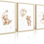Set 3 Pzas Decoración Pared Guardería Osos Luna Estrella