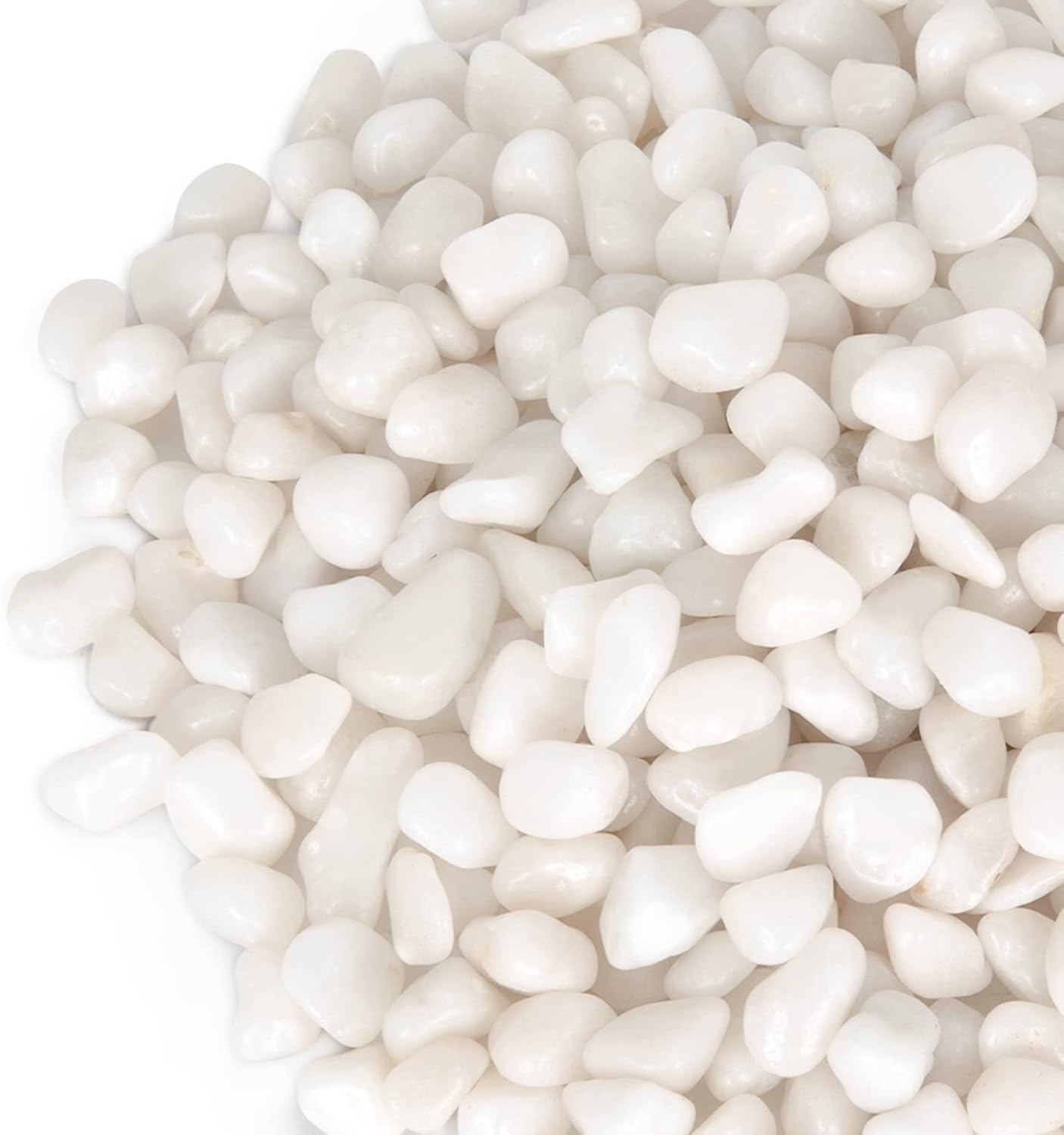 5lb Guijarros blancos decorativos para plantas suculentas