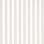 Popotes reutilizables 18pulg transparentes para tazas y cuencos
