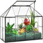 Maceta vidrio terrario con tapa 9.8x7.9x5.9pulg