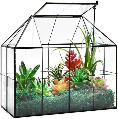 Maceta vidrio terrario con tapa 9.8x7.9x5.9pulg