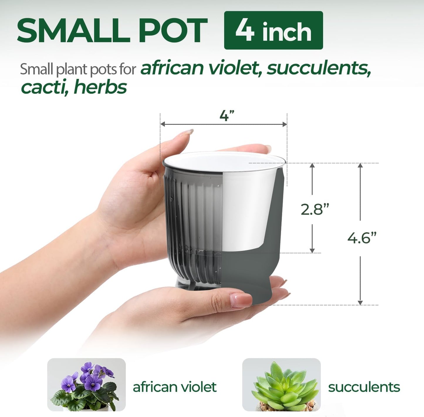 Maceta riego automático 4pulg set 4 para plantas interiores