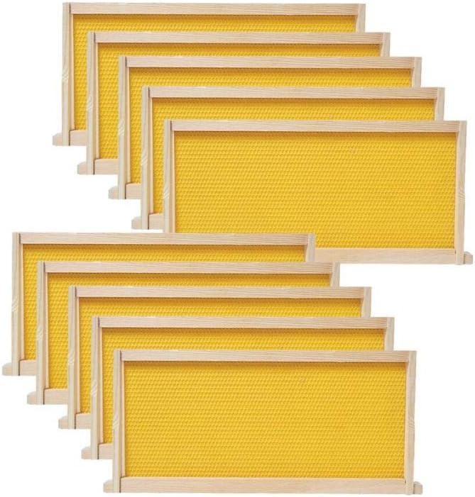 Pack 10 Marcos Colmena Madera Bases Cera 6-1/4pulg Amarillo