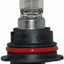 Bombilla halógena 12V 65/55W paquete 2