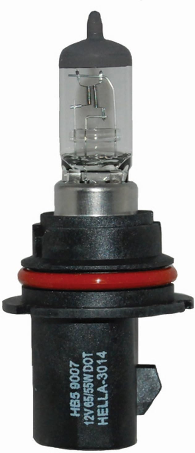 Bombilla halógena 12V 65/55W paquete 2