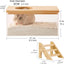 Caja arena hámster transparente con escalera grande