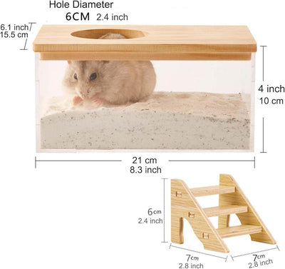 Caja arena hámster transparente con escalera grande