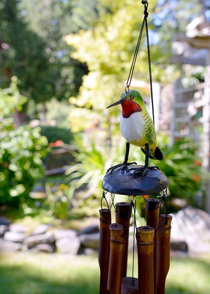 Colibrí Garganta Rubí 175RT para Jardín y Terraza