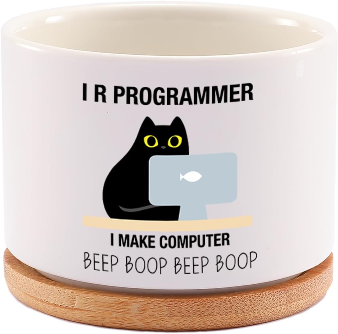 Maceta cerámica suculentas bandeja bambú regalo programadores