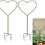 2 Enrejados Jardín 34pulg para Plantas Trepadoras Decorativo