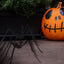 2 arañas falsas gigantes de 6.5 pies para patio Halloween