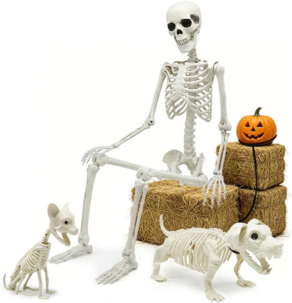 Esqueleto Halloween 5.4" con perro y gato decoración fiesta