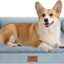 Cama ortopédica perro mediano espuma funda lavable gris