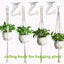 6 Set Ganchos Techo Blancos para Plantas Colgantes