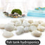Rocas blancas de río 5lb 2-3" decorativas para paisajismo