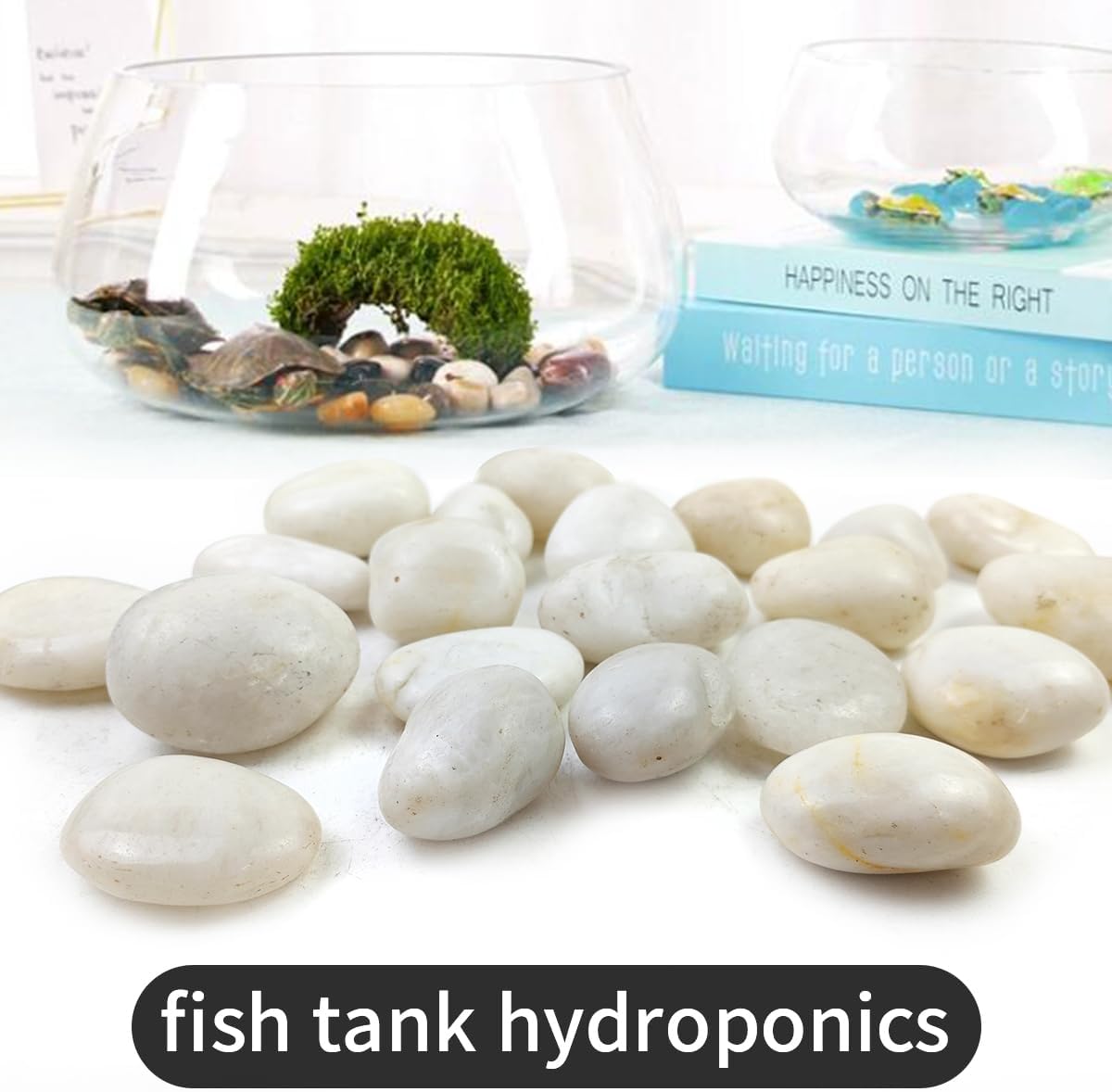 Rocas blancas de río 5lb 2-3" decorativas para paisajismo