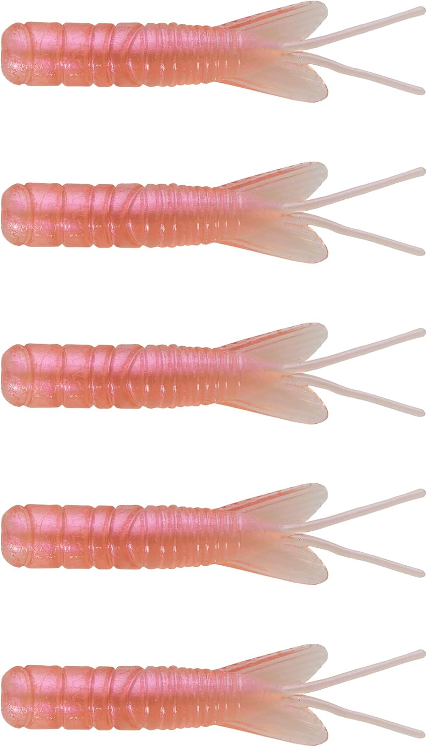 Insecto para Captura de Larvas en Pan y Candy