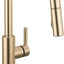 Grifo cocina boquilla oro cepillado rociador extraible