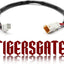 Arnés extensión cable Throttle-by-Wire 14" Harley 16-23