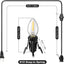Cable C7 6ft con bombilla LED E12 interruptor Navidad