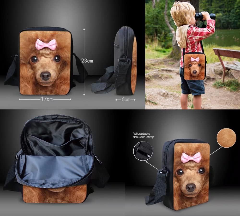 Bolsas mensajero mujer mini para teléfono